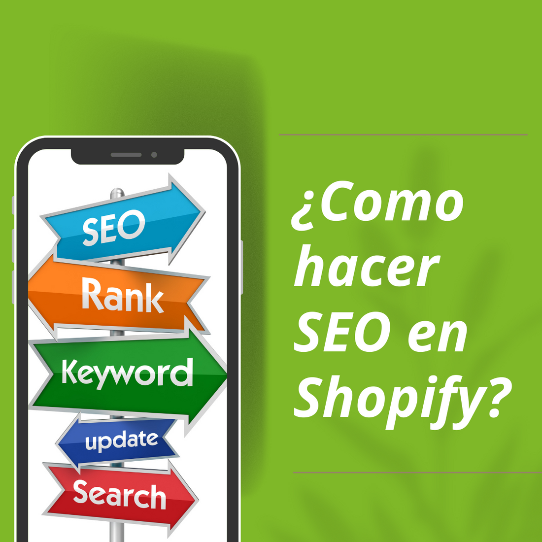 Cómo hacer SEO en Shopify